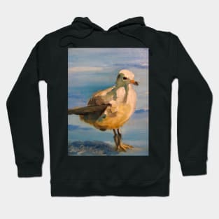 Gull Hoodie